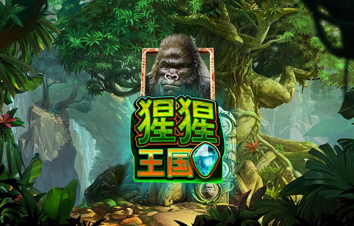 金年华体育平台官网